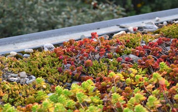 the cost of Dowslands green roof installation