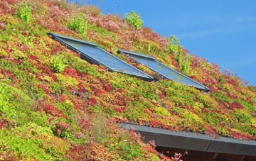 Dowslands living roof systems